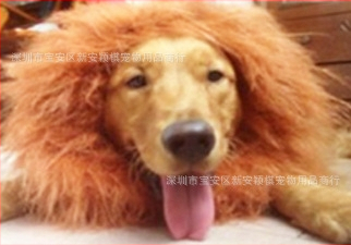 Трансгранична шапка за кучета с лъв, костюм за кучета за Хелоуин, дрехи за кучета, трансформирана златна коса, забавно куче