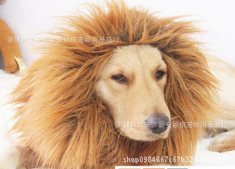 Трансгранична шапка за кучета с лъв, костюм за кучета за Хелоуин, дрехи за кучета, трансформирана златна коса, забавно куче