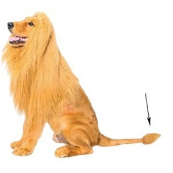 Трансгранична шапка за кучета с лъв, костюм за кучета за Хелоуин, дрехи за кучета, трансформирана златна коса, забавно куче