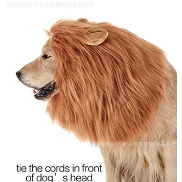 Трансгранична шапка за кучета с лъв, костюм за кучета за Хелоуин, дрехи за кучета, трансформирана златна коса, забавно куче