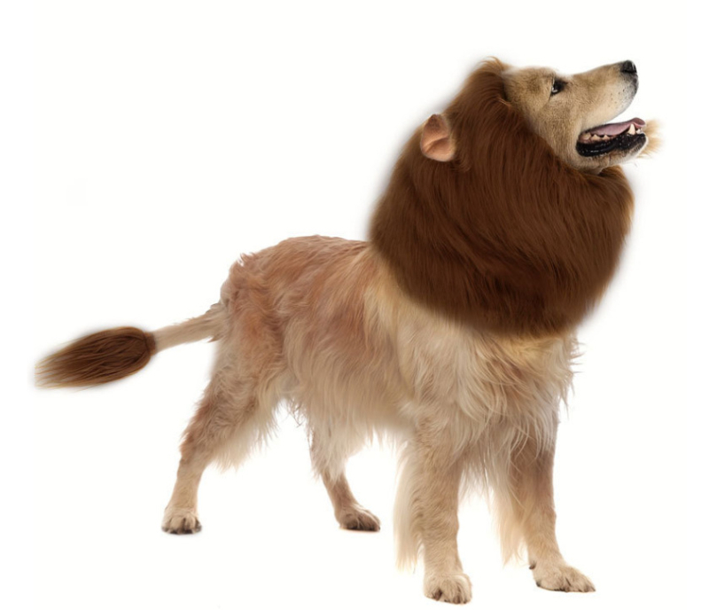 Трансгранична шапка за кучета с лъв, костюм за кучета за Хелоуин, дрехи за кучета, трансформирана златна коса, забавно куче