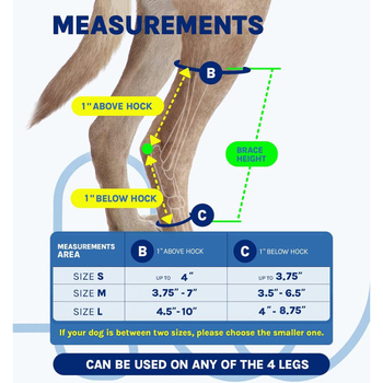 Αυστηρά επιλεγμένα κολάν για σκύλους με ιμάντες αποκατάστασης τραυματισμών στο γόνατο, προστασία γονάτου πίσω ποδιού για σκύλους, σετ στήριξης γονάτου