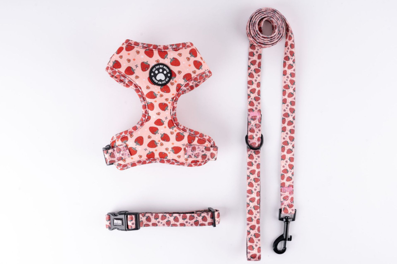 Model nou curea de piept pentru câini poate fi ajustată pentru a ieși la plimbare frânghia pentru câini direct din fabricație, o generație de păr