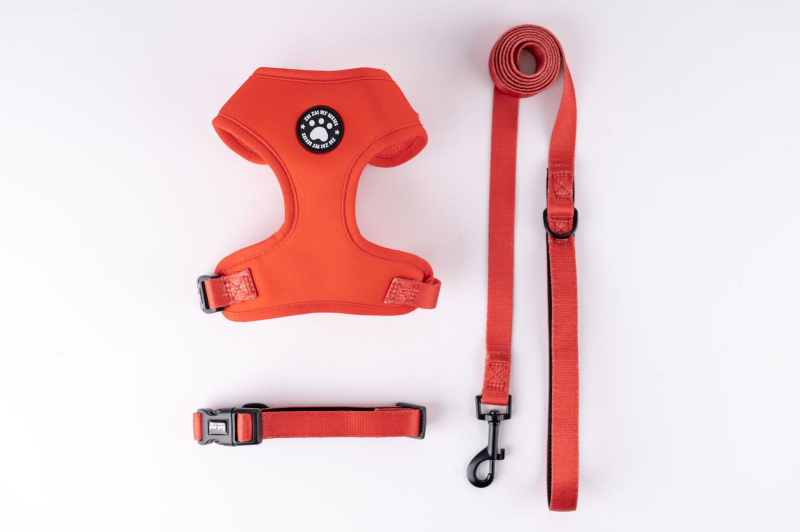 Model nou curea de piept pentru câini poate fi ajustată pentru a ieși la plimbare frânghia pentru câini direct din fabricație, o generație de păr