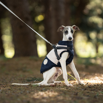 Νέο ασορτί χρωματικό μπουφάν για σκύλους με ενσωματωμένη έλξη στο στήθος και την πλάτη, με βαμβακερή επένδυση, αντιανεμικό και ζεστό μπουφάν για σκύλους, διασυνοριακά ρούχα για κατοικίδια με έκρηξη