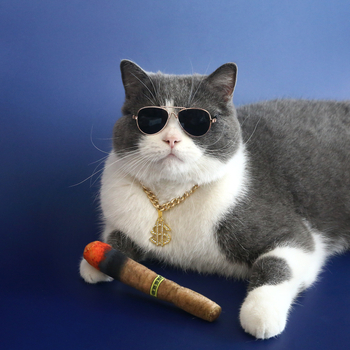 Външна търговия с домашни любимци, диамантени висулки, златни колиета, слънчеви очила, пура, котка, трева, играчка, котка, куче, костюм, хип-хоп
