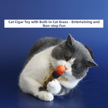 Външна търговия с домашни любимци, диамантени висулки, златни колиета, слънчеви очила, пура, котка, трева, играчка, котка, куче, костюм, хип-хоп