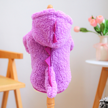 Ρούχα για κατοικίδια από το εργοστάσιο, σκύλος, γάτα, κοστούμι φαντασίας δεινοσαύρου, απόθεμα εξωτερικού εμπορίου