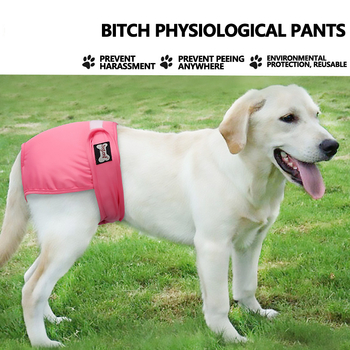 Ειδικά εσώρουχα για κατοικίδια, παντελόνια για σκύλους, παντελόνια για την εμμηνόρροια, ζώνη για την κοιλιά του σκύλου, παντελόνια για την εμμηνόρροια, παντελόνια για κατοικίδια