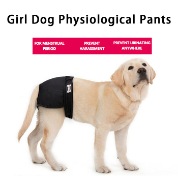 Ειδικά εσώρουχα για κατοικίδια, παντελόνια για σκύλους, παντελόνια για την εμμηνόρροια, ζώνη για την κοιλιά του σκύλου, παντελόνια για την εμμηνόρροια, παντελόνια για κατοικίδια