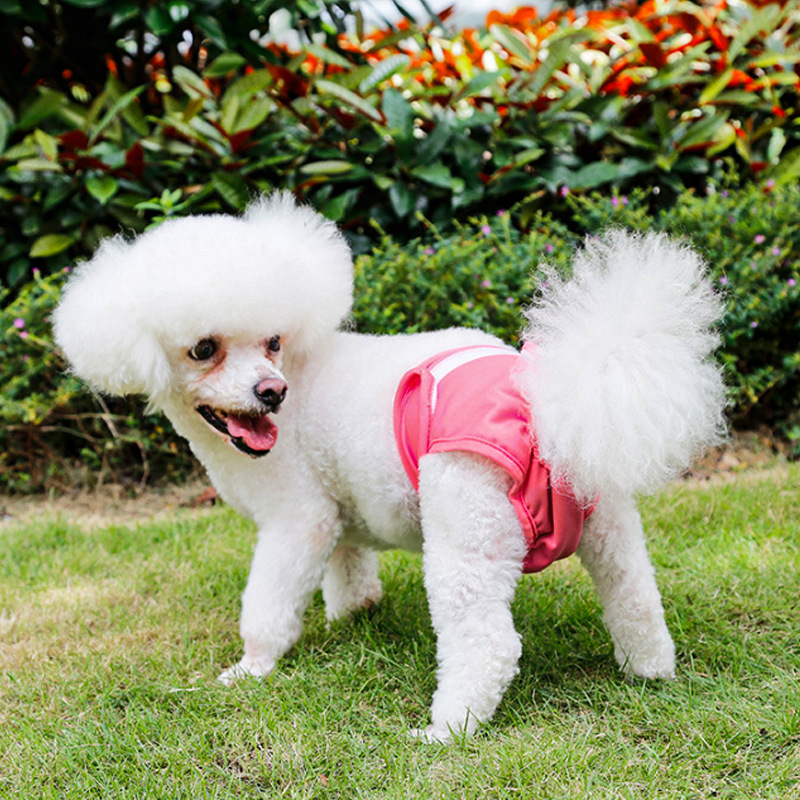 Gaćice za pse Cross-border Special, hlače za pse, higijenske hlače za menstruaciju, pojas za trbuh psa, omatanje pelena, hlače za menstruaciju kućnih ljubimaca