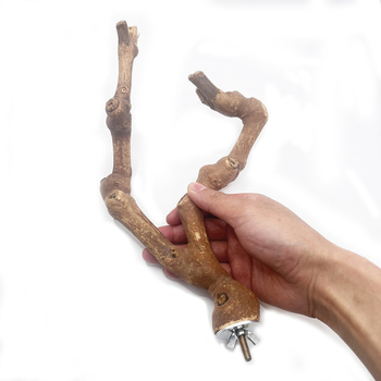 Φυσικό ξύλινο σταφύλι με διπλό κλαδί, ξύλινο σταφύλι, παπαγάλος, πέρκα πουλιών, δάχτυλο λείανσης, σταφύλι, ξύλινο σταφύλι, παιχνίδι με ραβδί