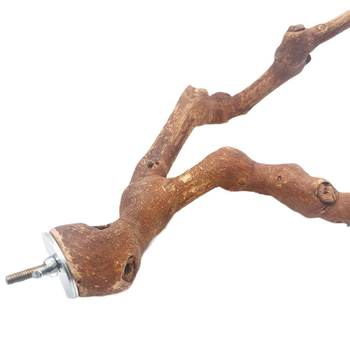 Φυσικό ξύλινο σταφύλι με διπλό κλαδί, ξύλινο σταφύλι, παπαγάλος, πέρκα πουλιών, δάχτυλο λείανσης, σταφύλι, ξύλινο σταφύλι, παιχνίδι με ραβδί