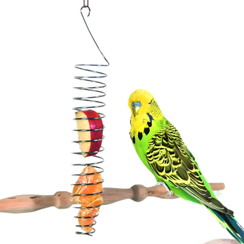 Ταΐστρα παπαγάλων, πιρούνι φρούτων, τροφοδότης κουδουνιών από ανοξείδωτο ατσάλι, προμήθειες πουλιών, σκεύη