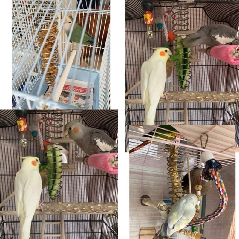 Papagal Feeder Fructe Furcă Oțel Inoxidabil Bell Feeder Bird Supplies Ustensile