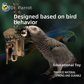 Μεσαίο και μεγάλο μεταλλικό παιχνίδι μάσημα παπαγάλου King Kong γκρι παπαγάλος Amazon εκπαιδευτικό κρεμαστό πλαίσιο κλουβιού πουλιών για την ανακούφιση από το άγχος και την ανακούφιση από την πλήξη