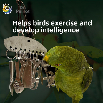Μεσαίο και μεγάλο μεταλλικό παιχνίδι μάσημα παπαγάλου King Kong γκρι παπαγάλος Amazon εκπαιδευτικό κρεμαστό πλαίσιο κλουβιού πουλιών για την ανακούφιση από το άγχος και την ανακούφιση από την πλήξη