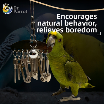 Μεσαίο και μεγάλο μεταλλικό παιχνίδι μάσημα παπαγάλου King Kong γκρι παπαγάλος Amazon εκπαιδευτικό κρεμαστό πλαίσιο κλουβιού πουλιών για την ανακούφιση από το άγχος και την ανακούφιση από την πλήξη