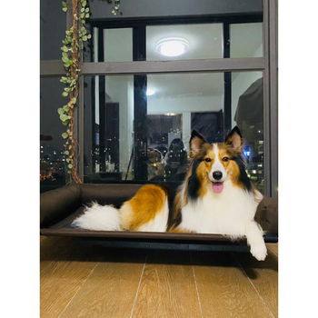 kh augintinių stovyklavietės lova nuimama ir plaunama katės lova drėgmei atspari voljeras su šonine voljeru didelė šunų voljeras geležinė žemės šunų lova