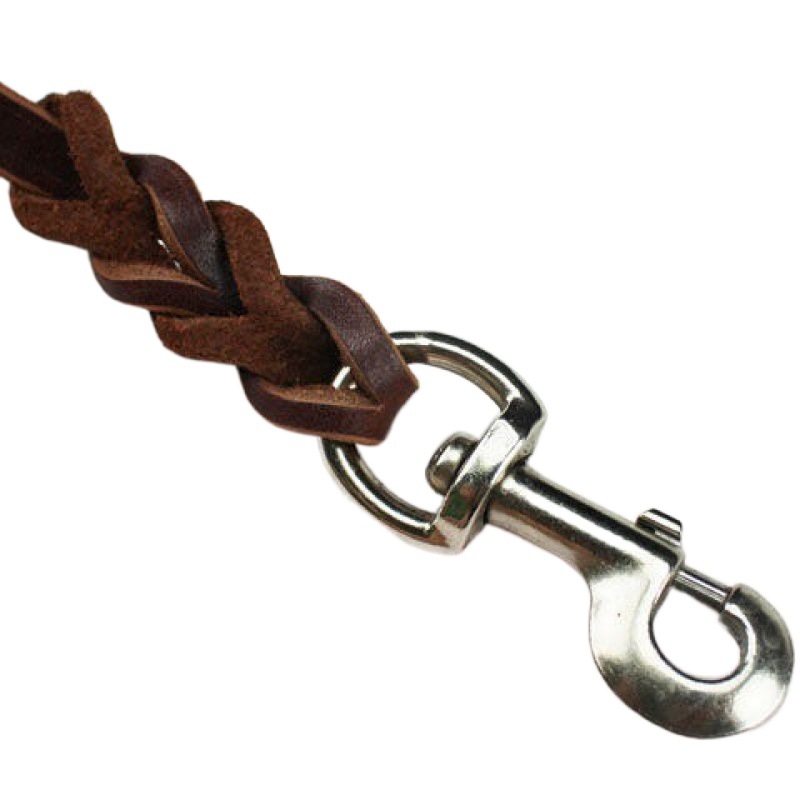 Pas za hodanje, univerzalni pas za konje, njemački ovčar, zlatni retriver, noseći sloj od mekane kravlje kože, vučno uže za pse, čelična kuka, bakrena kuka