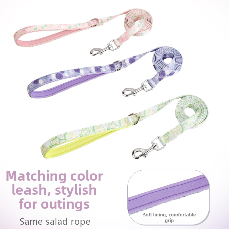 Vodítko pre psa Letné Vall Pet Strap Priedušné vodítko pre psa Veľký, stredný a malý pes Corgi Bear Out Chain