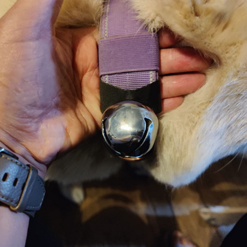 Звънец за кучета с голям и среден размер, звънец за кучета, звънец за проследяване, звънец за кучета, Amazon Pet Training Supplies