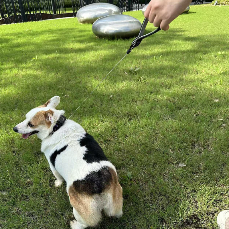 Integrirana ogrlica za pse s ugrađenom uvlačivom uzicom, vanjska ogrlica za kućne ljubimce s automatskim uvlačivim uzicom