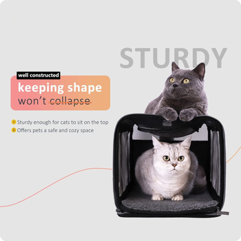 Αποκλειστικό σακίδιο πλάτης για γάτες σε διασυνοριακό επίπεδο, πτυσσόμενο, αντιδιαρρηκτικό και αυτόματο, τσάντα μεταφοράς για εξορμήσεις, φορητή τσάντα μεταφοράς γάτας