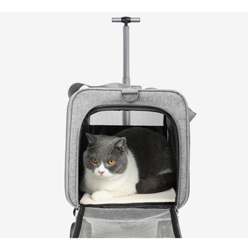 Τσάντα μεταφοράς κατοικίδιων για γάτες, μεγάλης χωρητικότητας, διαφανής, κατάλληλη για όλες τις εποχές, ανθεκτική στα δαγκώματα, ανθεκτική τσάντα μεταφοράς κατοικίδιων για γάτες