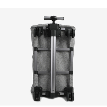 Τσάντα μεταφοράς κατοικίδιων για γάτες, μεγάλης χωρητικότητας, διαφανής, κατάλληλη για όλες τις εποχές, ανθεκτική στα δαγκώματα, ανθεκτική τσάντα μεταφοράς κατοικίδιων για γάτες