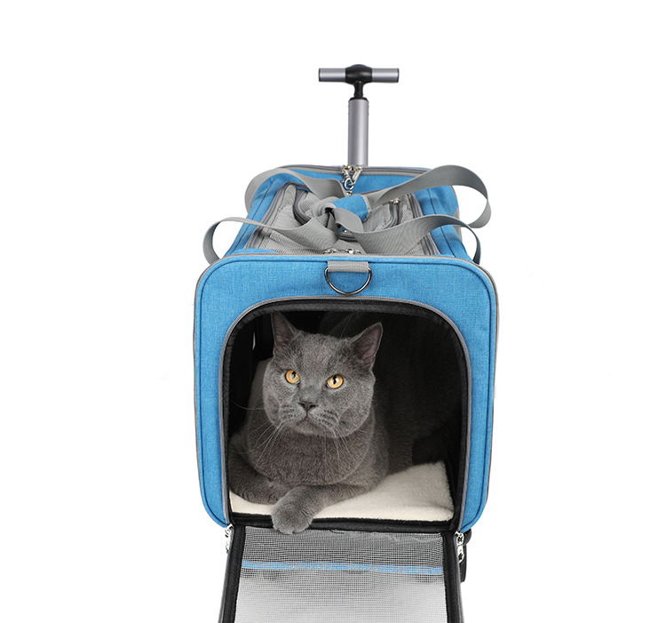 Чанта за носене на котки, голям капацитет, прозрачна, подходяща за всички сезони, устойчива на ухапване, издръжлива чанта за носене на котки