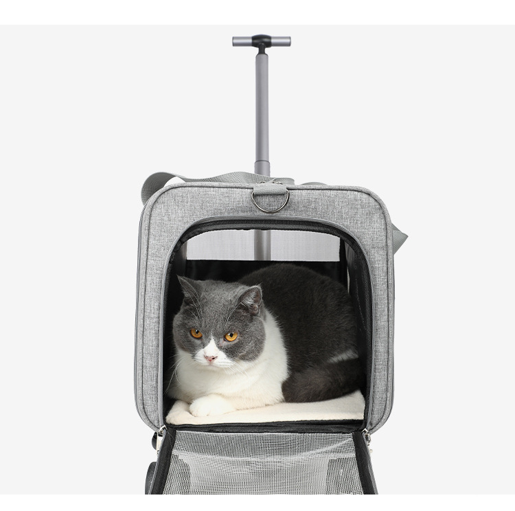 Чанта за носене на котки, голям капацитет, прозрачна, подходяща за всички сезони, устойчива на ухапване, издръжлива чанта за носене на котки