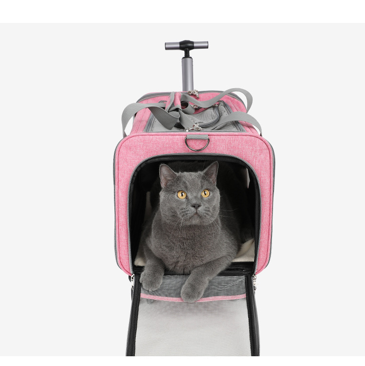 Чанта за носене на котки, голям капацитет, прозрачна, подходяща за всички сезони, устойчива на ухапване, издръжлива чанта за носене на котки