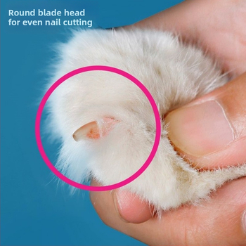 Нокторезачка за котки на едро, малка, слепа, специална нокторезачка за котки за домашни любимци, нокторезачка за начинаещи с кръгла дупка