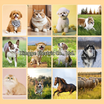 10W/30W/7FW/4FW A5 plaukų kirpimo mašinėlė, universali, plati ašmenys, tarpvalstybinė, karšto pardavimo, profesionali naminių gyvūnėlių elektrinė kirpimo mašinėlė, pjovimo galvutė