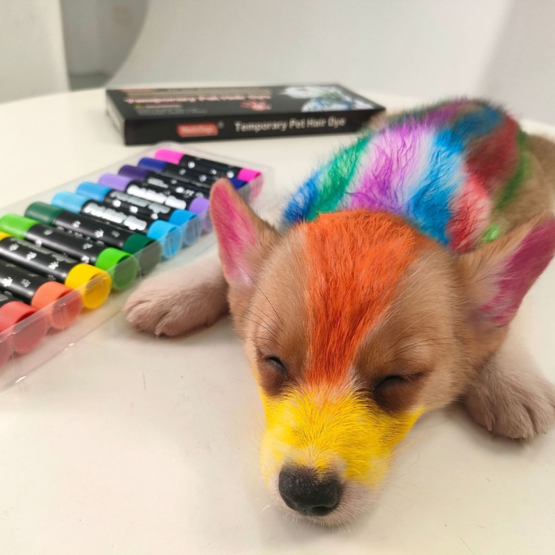 Kisállat szőrfestő stift, nem okoz szőrkárosodást, könnyen tisztítható színes hajfestő krém, kutya szőrfestés, állatorvosi marker zsírkréta
