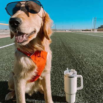 Η πραγματική τιμή του ιδιωτικού Yeti 40oz με ελληνική εκτύπωση temu 5d, μόνωση από ανοξείδωτο ατσάλι 304