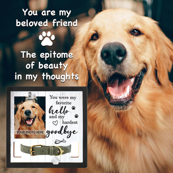 Κορνίζα φωτογραφιών Amazon Pet Lost για γάτες και σκύλους, χωρίς κολάρο