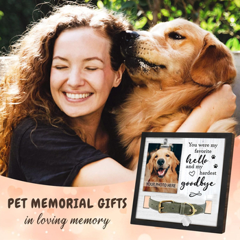 Κορνίζα φωτογραφιών Amazon Pet Lost για γάτες και σκύλους, χωρίς κολάρο