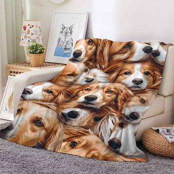 Lemmiklooma 3D-prinditud flanelltekk volditud servaga tekk kliimaseadmega tekk hulgimüügi tootja koomiksimuster Amazon