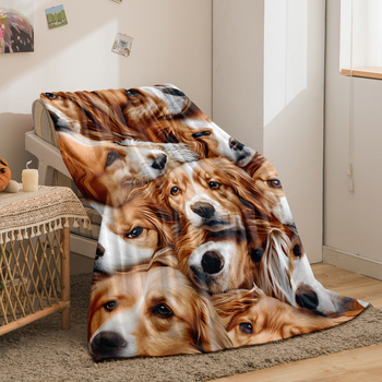 Lemmiklooma 3D-prinditud flanelltekk volditud servaga tekk kliimaseadmega tekk hulgimüügi tootja koomiksimuster Amazon