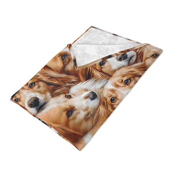 Lemmiklooma 3D-prinditud flanelltekk volditud servaga tekk kliimaseadmega tekk hulgimüügi tootja koomiksimuster Amazon