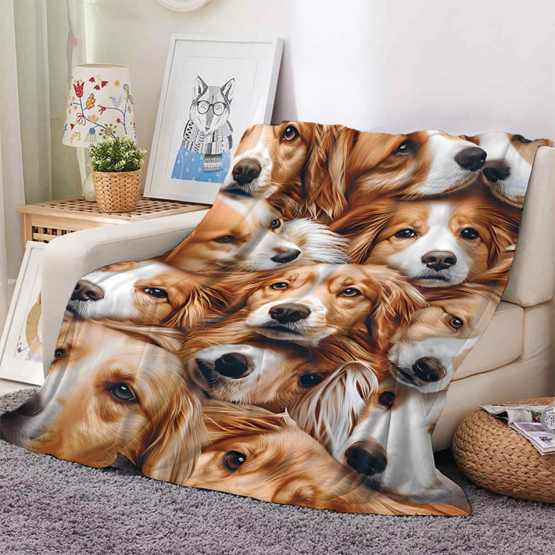 Lemmiklooma 3D-prinditud flanelltekk volditud servaga tekk kliimaseadmega tekk hulgimüügi tootja koomiksimuster Amazon