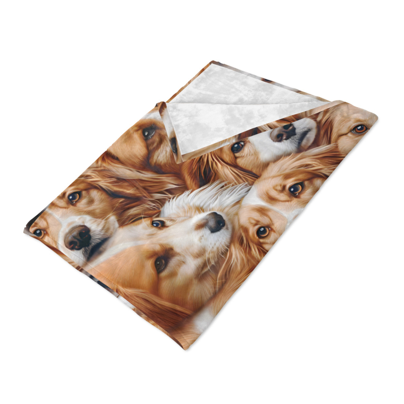 Lemmiklooma 3D-prinditud flanelltekk volditud servaga tekk kliimaseadmega tekk hulgimüügi tootja koomiksimuster Amazon