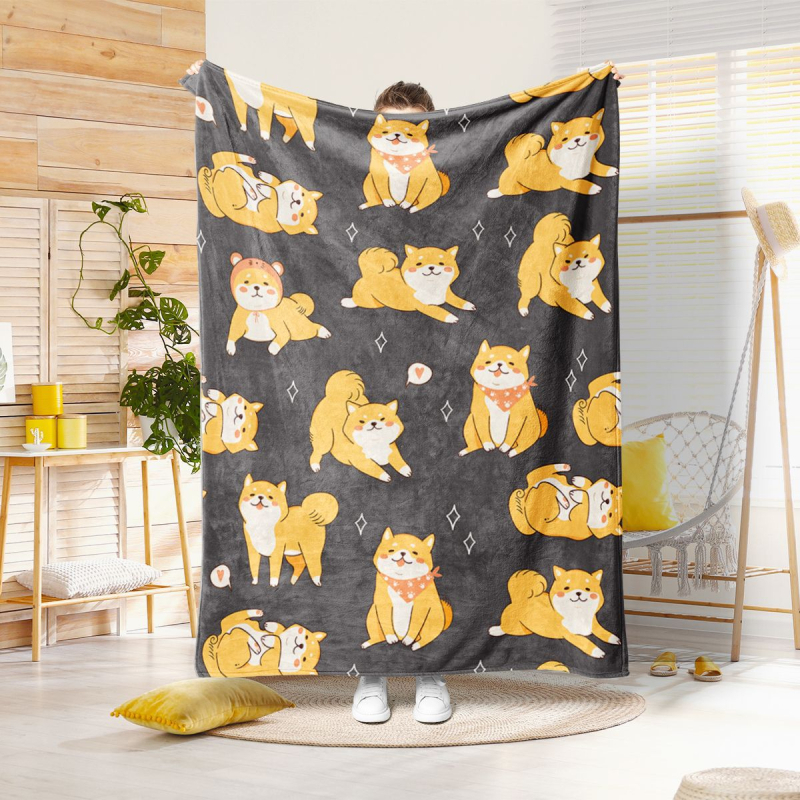 Lemmiklooma 3D-prinditud flanelltekk volditud servaga tekk kliimaseadmega tekk hulgimüügi tootja koomiksimuster Amazon