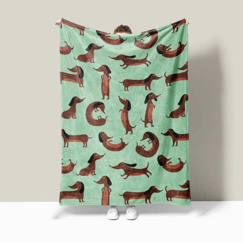 Lemmiklooma 3D-prinditud flanelltekk volditud servaga tekk kliimaseadmega tekk hulgimüügi tootja koomiksimuster Amazon