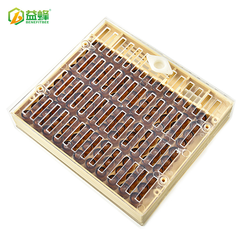 Profesionalūs didmeninės bitininkystės įrankiai „Bee King“ dėžutė be vabzdžių motinėlių veisimosi dėžutė „King“ apsauginis dangtis