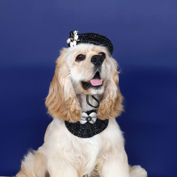 Тъкана шапка Chanel с цветни пъпки, панделка и дантелена престилка за домашни любимци, котка и куче, аксесоари, комплект Камелия