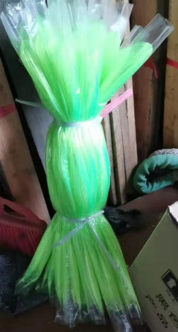 Koorumispintsel Koorumisrohi Koi kudemine Rohi Karpkala muna Koorumispintsel Kuldkala aretus Vesiviljelus Kalade pesa Koorumine