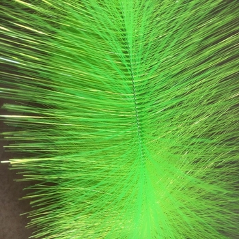 Koorumispintsel Koorumisrohi Koi kudemine Rohi Karpkala muna Koorumispintsel Kuldkala aretus Vesiviljelus Kalade pesa Koorumine